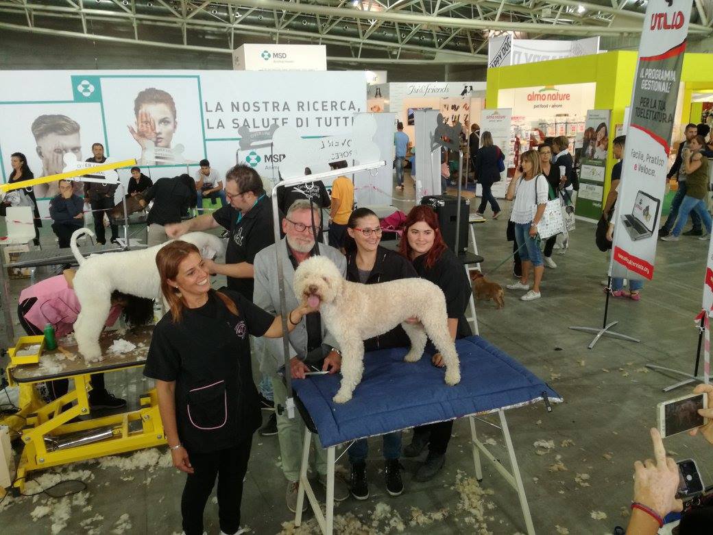 Tolettatura canina da oscar con <a href="/olivanelly/">nelly oliva</a> . Questo e molto di più all'ultima edizione di #Atuttacoda