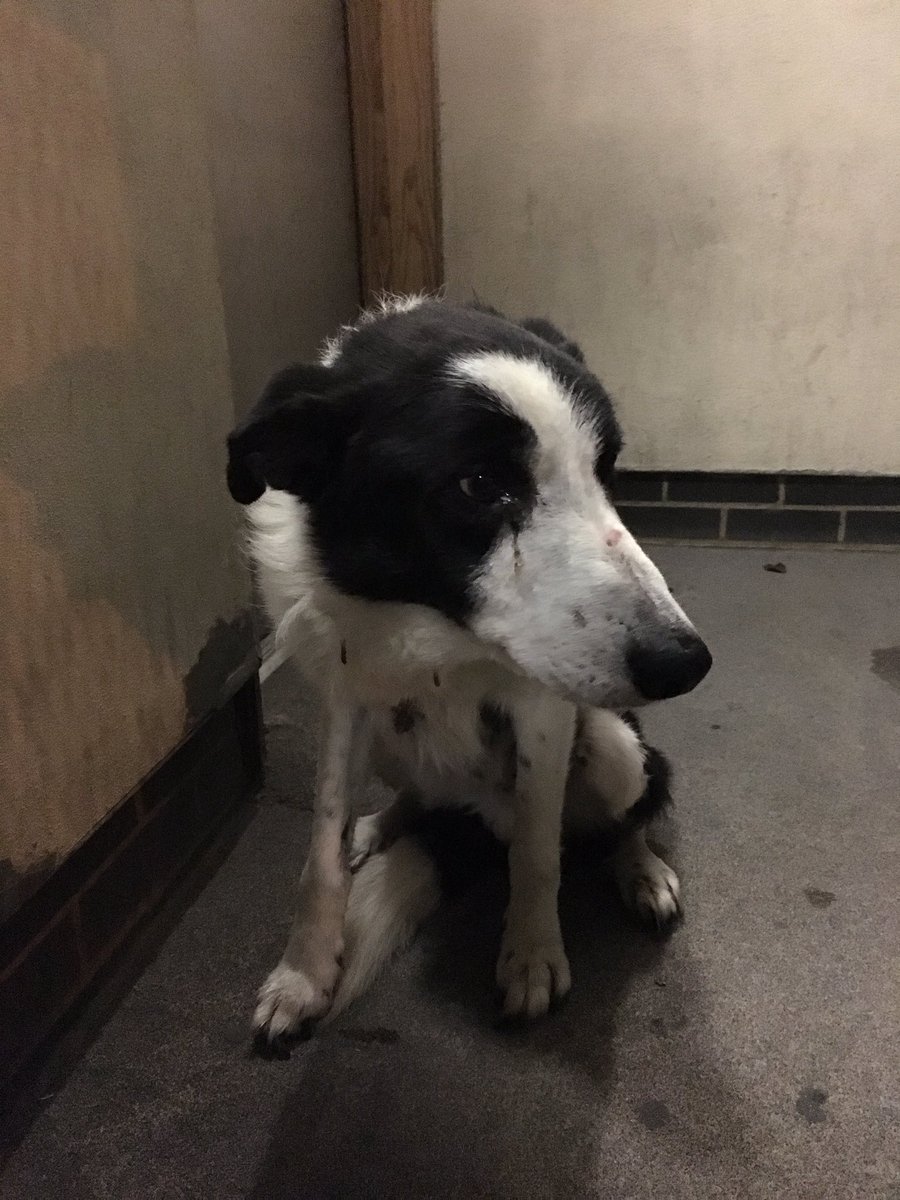 James (@rando__) | Twitter