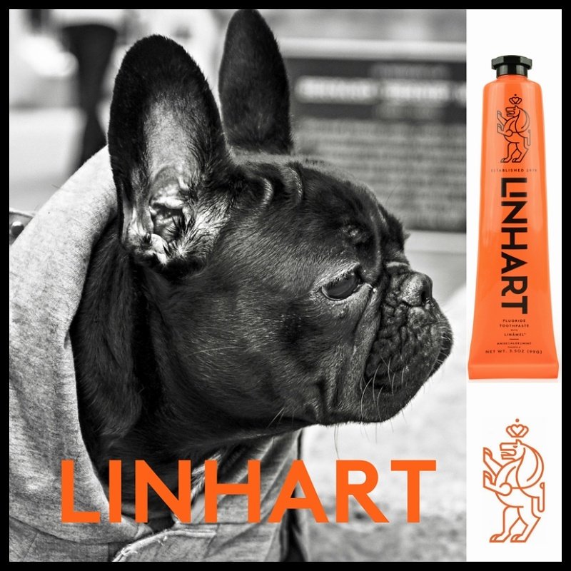 LinhartNYC's tweet photo. #Weloveanimals  as much as we #love #healthy #mouths. #LINHART #dental products are #NEVERtestedonanimals ! 
https://t.co/uXLIidEnM1 #smile https://t.co/Ax02dPceIh