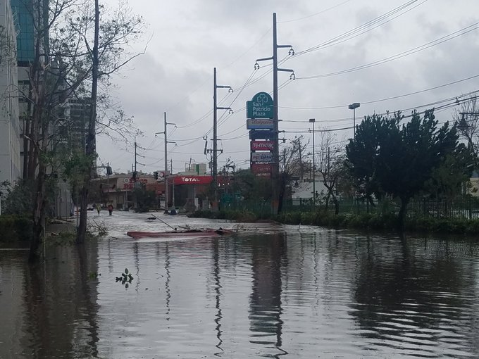 View image on Twitter