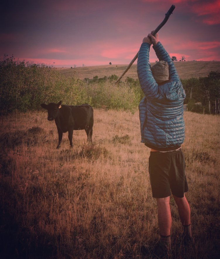 walkingthecdt's tweet photo. Joel fends off a cow from our campsite using his magic staff. Caption this photo! Go! #youshallnotpass #lotr #cdt2017 #continentaldividetra… https://t.co/Lq4rfuBNmP