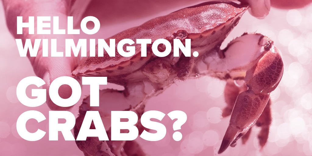 CodePinch's tweet image. Excited to have @vasyltech speaking @WordCampILM! Dive into #WordPress in #Wilmington this weekend Sep 23-24. fal.cn/tjWQ