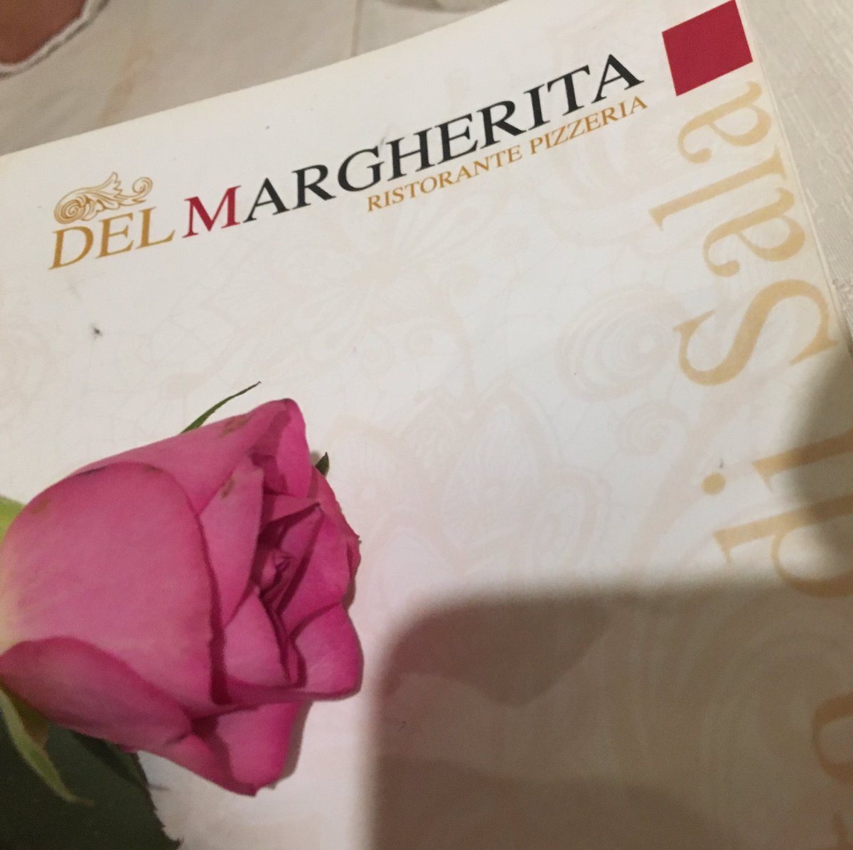 del margherita (@delmargheritacl) on Twitter photo 