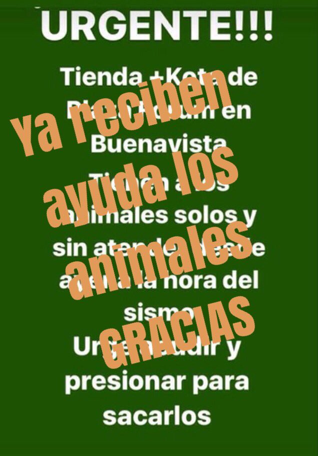 arcast_centro's tweet photo. Ya reciben ayuda #graciasmexico #mascotassismoCDMX  @MaskotaMexico pésima forma de actuar de su parte, sin presión no responden. https://t.co/WufUxuvWRV