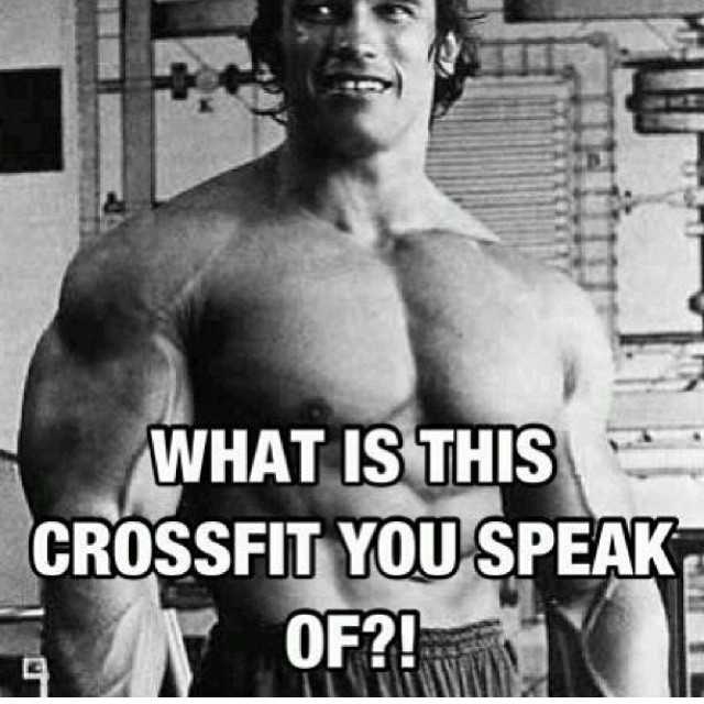 Bodybuilding tweet media