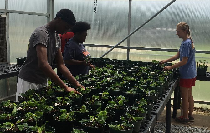 Opelika Career Tech tweet media