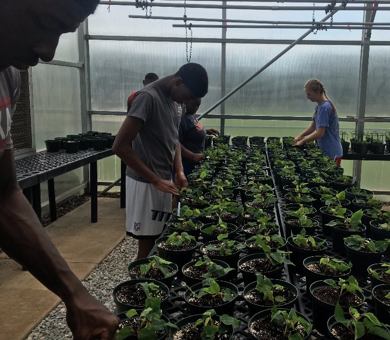 Opelika Career Tech tweet media