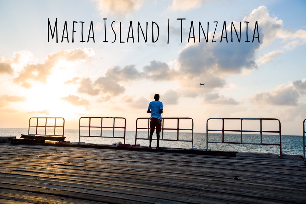 MxCarter's tweet photo. Mafia Island Port | #Tanzania #MafiaIsland @SlideVisuals 📸 https://t.co/ywgntynntf