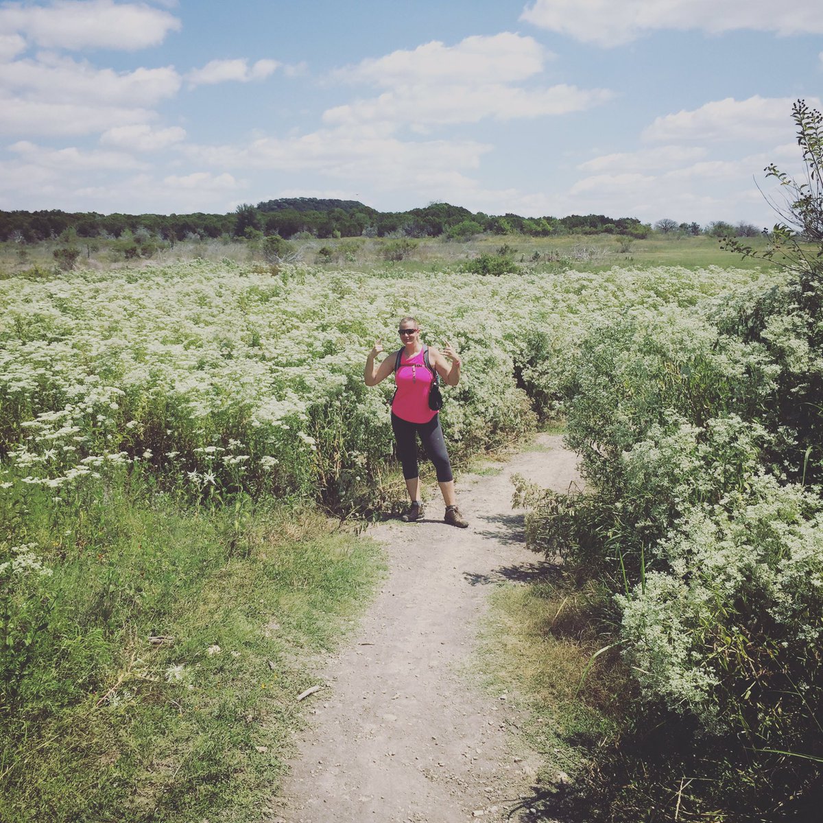 NuttyHiker's tweet photo. Love the smell of whatever these are! #hiking #danapeak #flowerweed https://t.co/VxnfxI5LwA