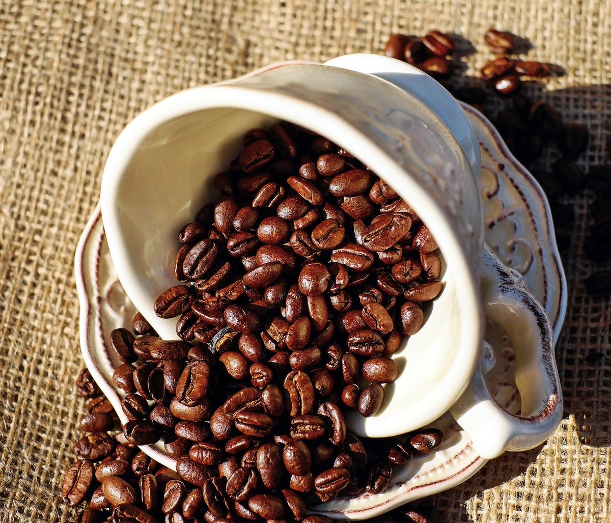 glamcation's tweet photo. #DidYouKnow Caffeine found in skincare is best for firming and depuffing! ♥️😉☕️#beauty #skincare #makeup #coffee #glam #glamcation #diy https://t.co/In1PQBsDbv