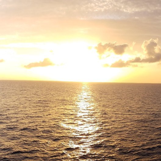 Grand Celebration tweet media