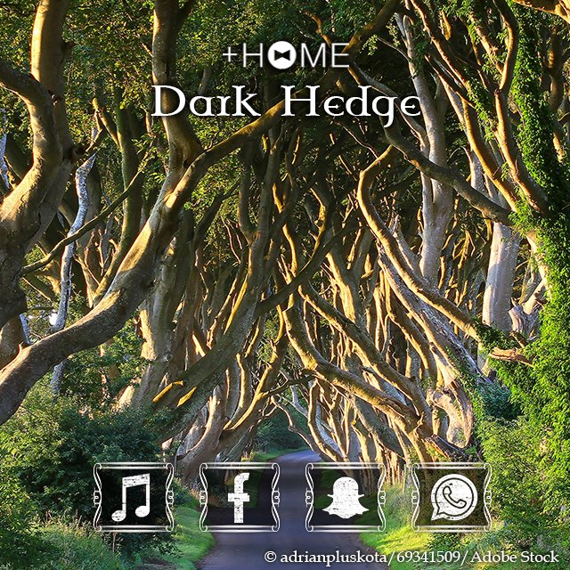 Home 公式アカウント على تويتر 新作情報 ダーク ヘッジ 不気味で美しい木々のトンネル 北アイルランドの幻想的な並木道 ダーク ヘッジのテーマです Dlはこちら Https T Co Tkaty6imue きせかえ 壁紙 Plushome