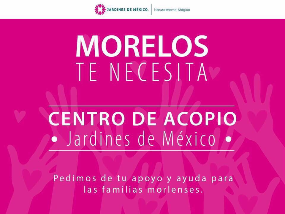 Azulis's tweet photo. Por favor, ayúdenme con un RT, 
hay muchos municipios devastados a los que aun no llega la ayuda #AyudaAMexico #AyudaMorelos #FuerzaMexico https://t.co/YeXIE1RXdI