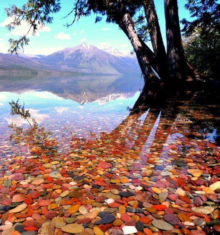 helloimthatdude's tweet photo. Glacier National Park in Montana https://t.co/QxKFhCADvo