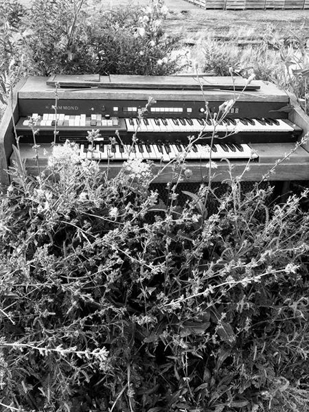 Lessons Anyone Still Working Owner thinks is be outside about 10 or more years buff.ly/2xfcv3s