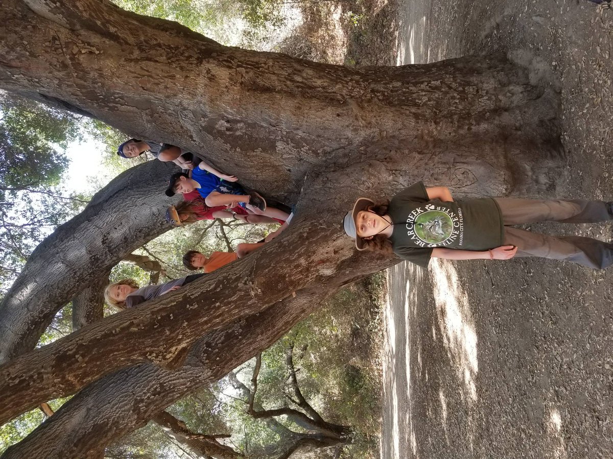 Hack_Poet's tweet image. The AotW adventure series begins!!!