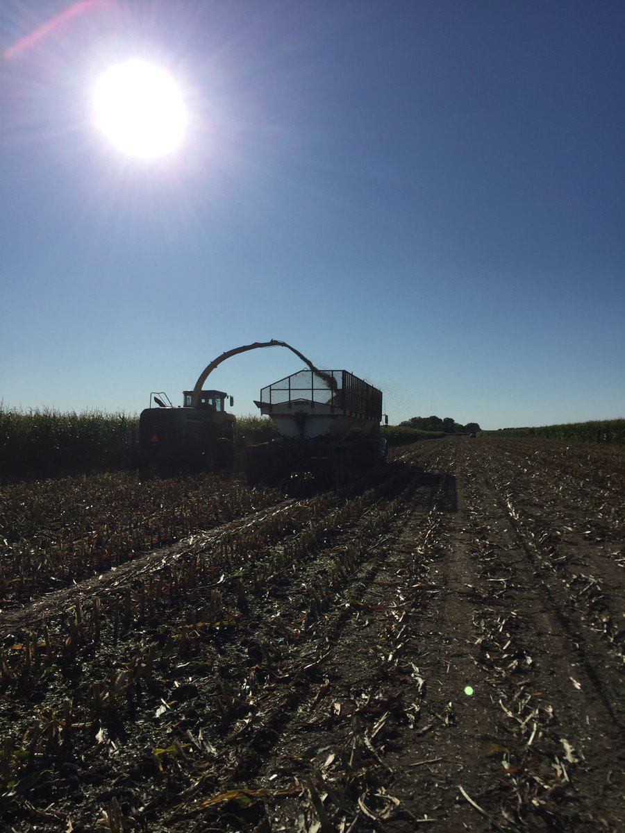 JohnMeyer102's tweet photo. #curryseed, silage trial 2017 https://t.co/Zwlq7jrWMF