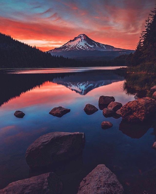 KikayRustia's tweet image. Reposting @bestdestinationsworld:
-
Amazing #Sunset in Oregon 🌅🇺🇸 -
👍🏻 FOLLOW @bestdestinationsworld 👍🏻
-
Nice pic @neohumanity 📷