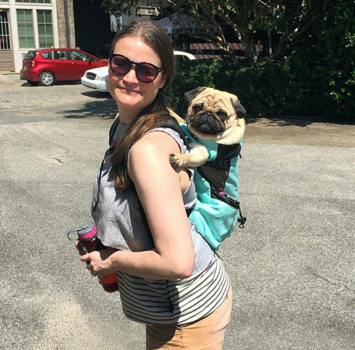 k9 sport sack canada