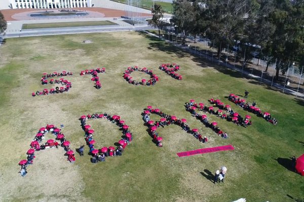 WgarNews's tweet photo. @StopAdaniCairns @GalileeBlockade @AusConservation @randlight @nobby15 @MinhKular @JennyPineapple2 @RachelQuayle08 @RBJRON @Biggy1883 'we're asking U to join forces in creating #HumanSigns so big that they can’t be ignored, spelling out #StopAdani'
https://t.co/ooUMv3trn9 https://t.co/EmIWalx9LZ
