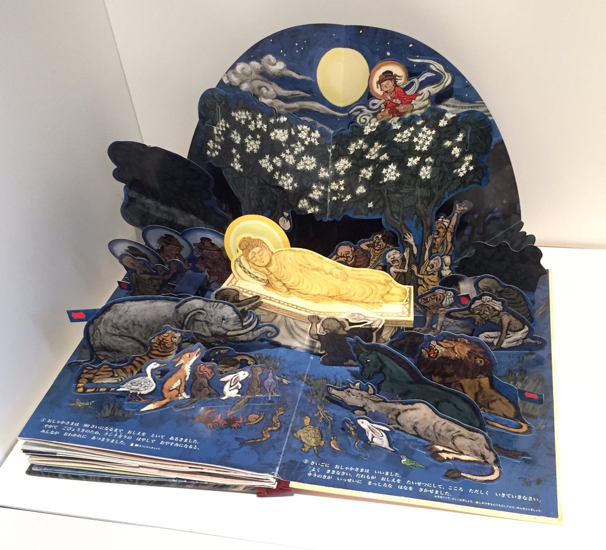 さくらいひろし 立体絵本作家 ポップアップ絵本 おしゃかさま 12年1月発売 本体価 000 税抜 見開きサイズ 43 62 かなり大きいです 私が仕掛けの設計をしました 版元の鈴木出版のサイトからpr動画も公開されています ポップアップ絵本