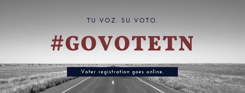 GoVoteTN tweet media