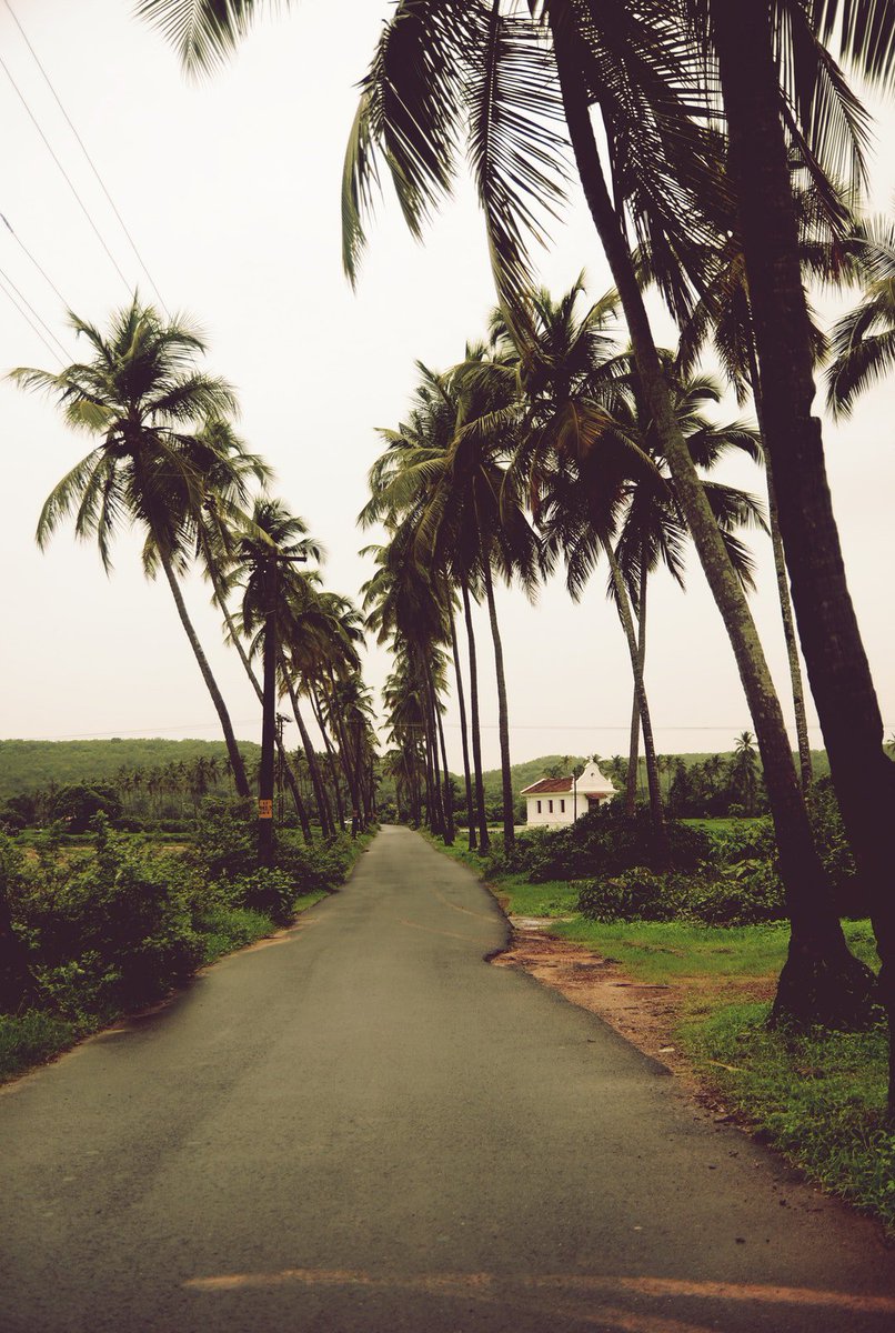 TheStylishG's tweet photo. Photo By Rohit Tandon | Unsplash 
 #cultures #cultured #culturetrip #culturegram #cultureshock https://t.co/DRd7vQvCa9