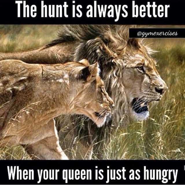 MotivatedNFit's tweet image. 