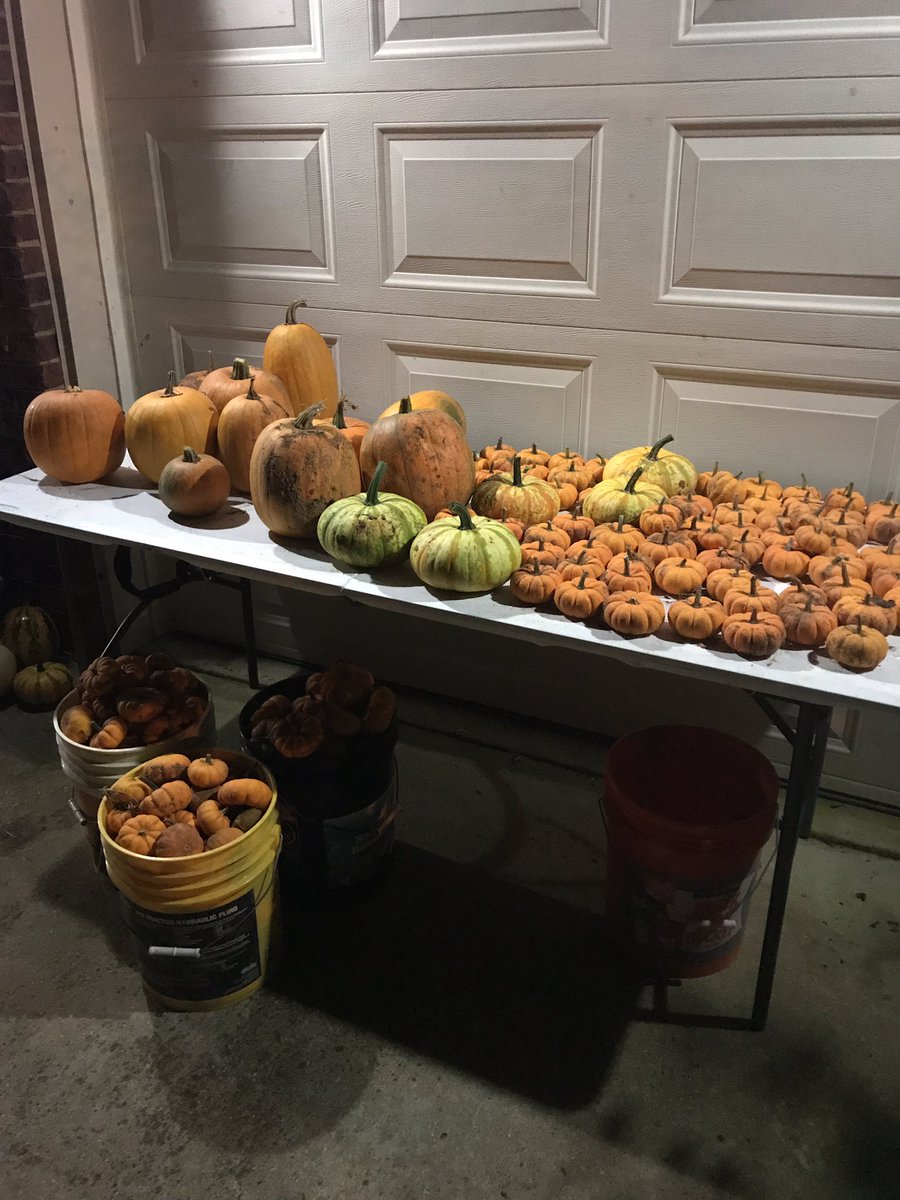 ShaneMo72's tweet image. Only part of our experiment just getting started #testplot #readyfornextyear