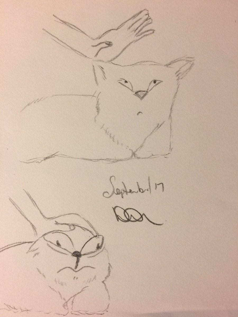 #HateWhenThatHappens #WednesdayDrawing #QuickSketch 
#FelineFeelings #TooFunny