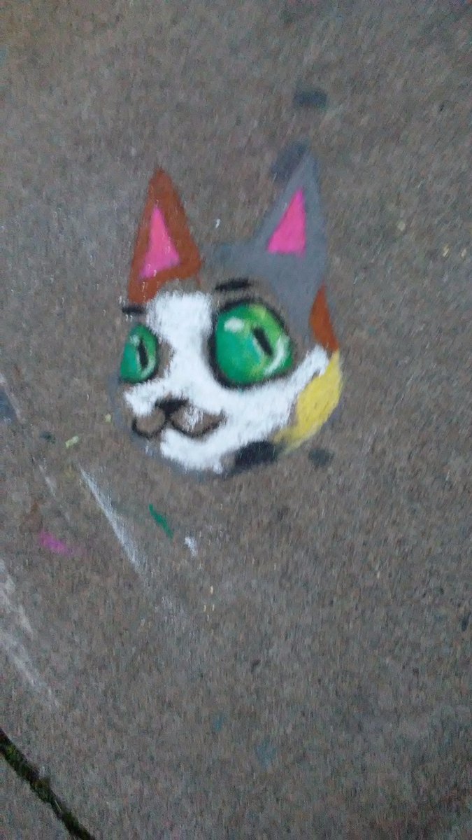 LenettePehowic's tweet photo. My daughter made some art on the sidewalk the other day. https://t.co/LsJXNZExBO
