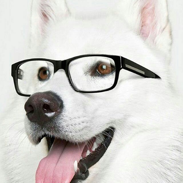 TopNotchPaper's tweet image. #NewProfilePic