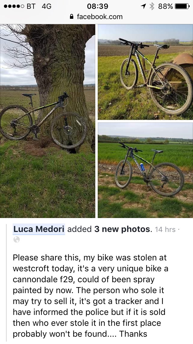 cannondale mk