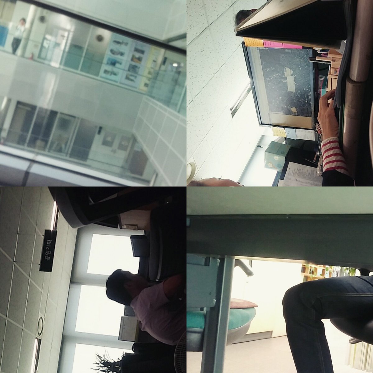 지난 14일 누군가 나무에 설치된 작품들을 낫으로 전부 베어갔대서 경찰서→주민센터→구청 순으로 방문. 구청에서 강제 철거하여 보관 중. 경위 설명 중.

#해체중 #탈선녀단 #성북구청 #서울도시건축비엔날레 #성북예술동 #성북문화재단 #성북예술창작센터