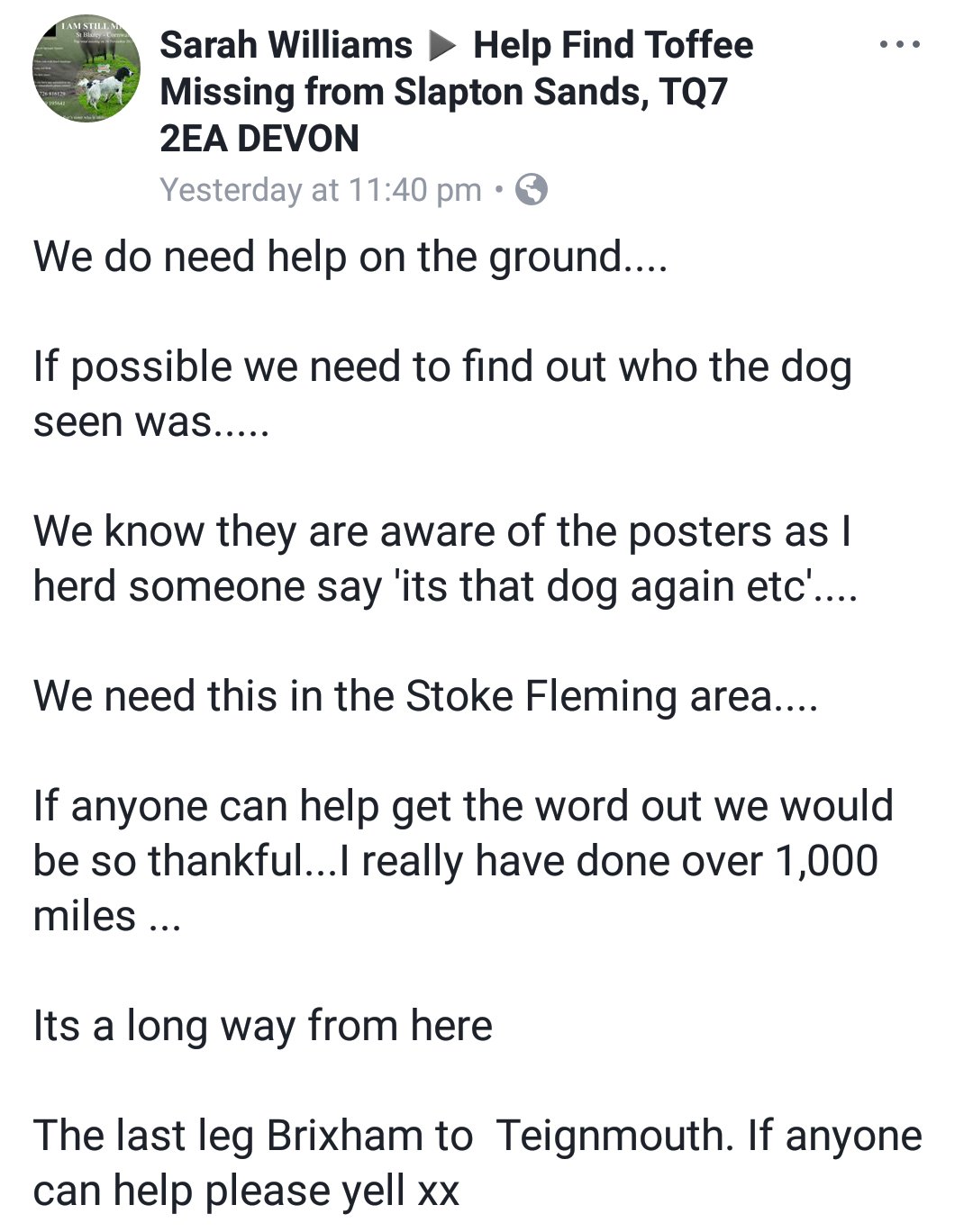 Fern Villa (Dogs) 님의 트위터 "Toffee was lost at sea, possible sighting