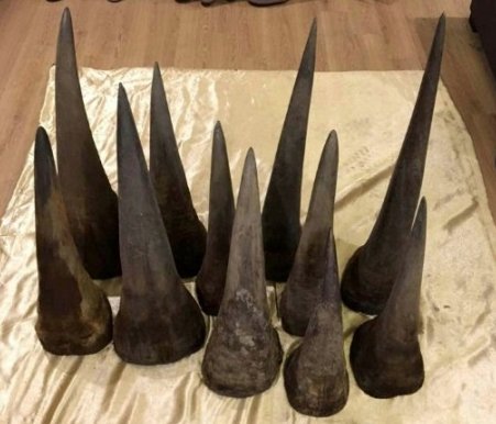 SlateAfrique's tweet photo. Des cornes de rhinocéros transformées en bijoux par des trafiquants https://t.co/HwzV6lVB64 https://t.co/TnFLS7qkOf