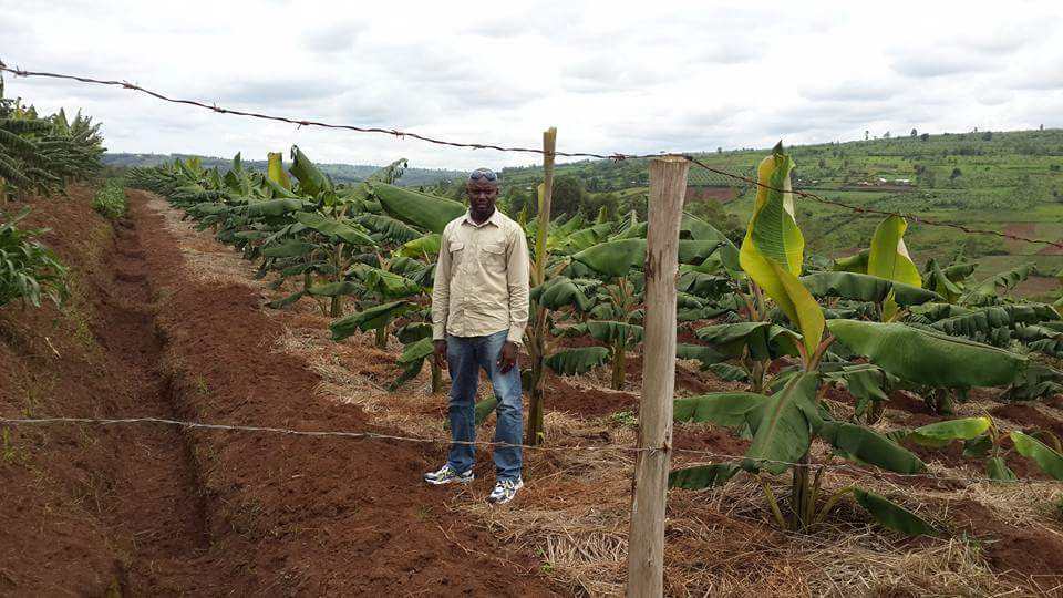 MugemaV's tweet photo. Bitanu amahoro iyo ubona ibyuhize bimezeneza nibyiza ko duhinga urutoki nigihigwa kiza https://t.co/hUFa4mBJzr