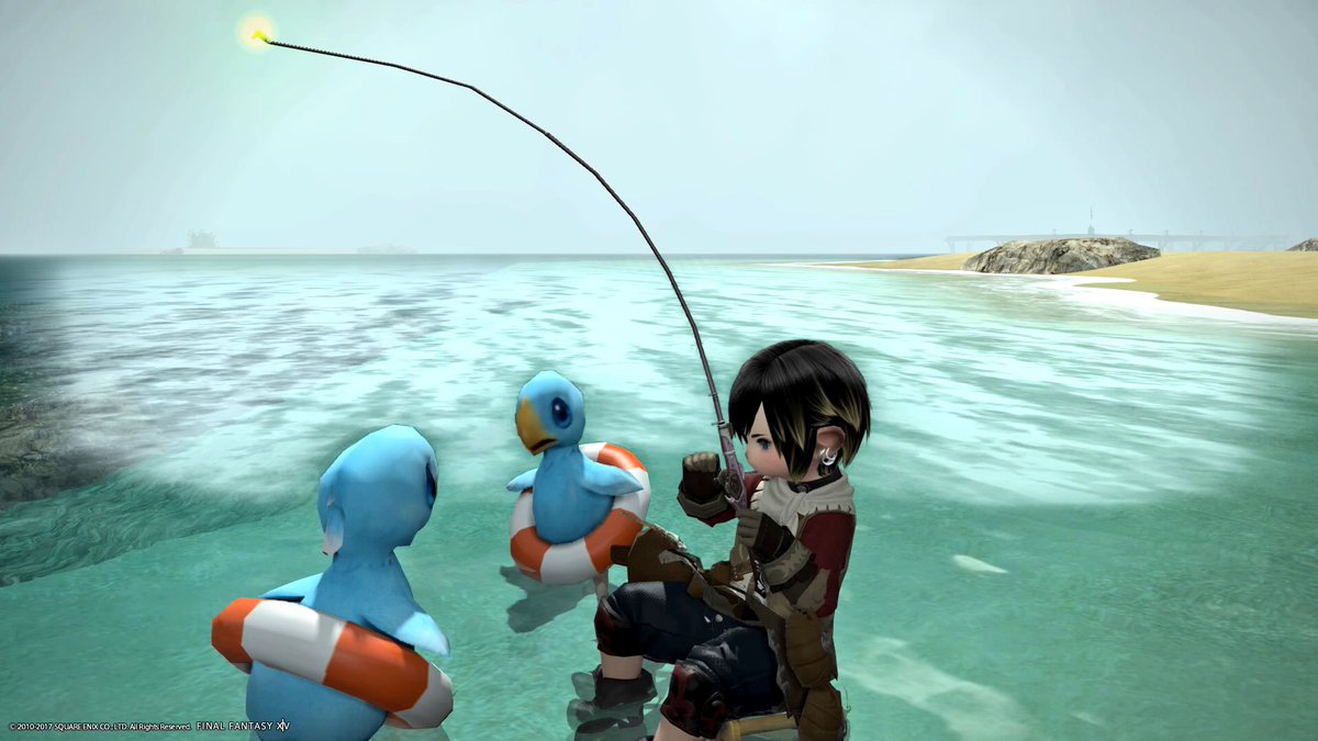 海チョコボ