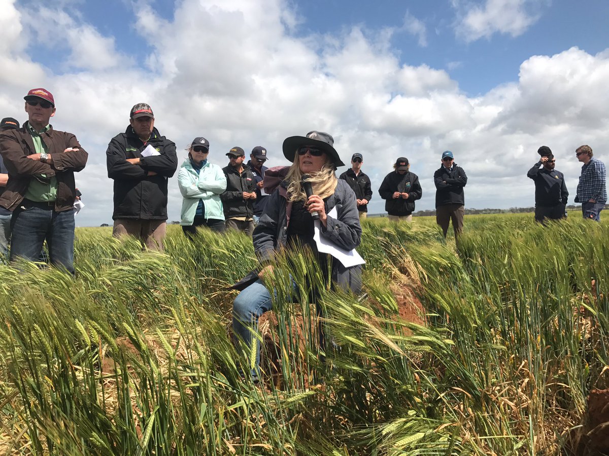 CFIG_AG's tweet photo. Caroline Peek running through our #econnectedWA yield prophet site #CFIG_AG @GavinHooper70 https://t.co/d8GN070kEo
