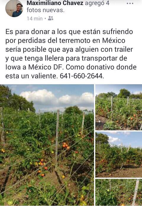 TonoLizarraga1's tweet image. BN mi gente buscamos quien nos ayude a traer 1 ton de uva y otra de vegetales, sería recogerlos en Napa Valley CA y Iowa, ayuden a compartir