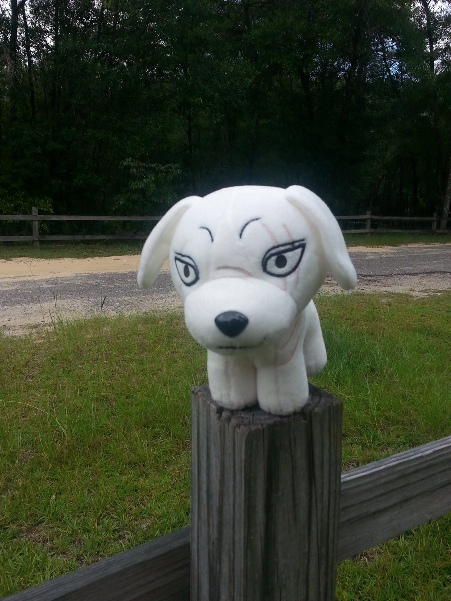 DunkinTheWolf's tweet photo. George at the park!
#Ginga #GingaDensetsuWeed #GingaPlush #GDW https://t.co/bXdVTxa8kW