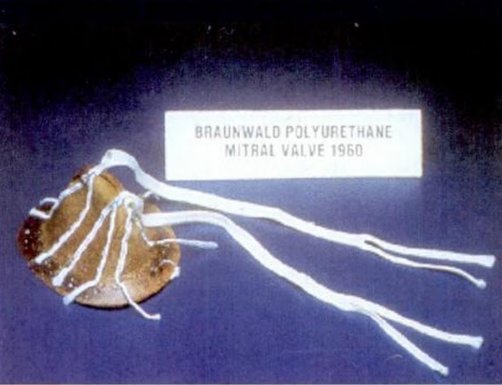 On March 10, 1960, Dr. Nina Braunwald and Dr. Andrew Morrow implanted a polyurethane mitral valve with Teflon chordae in a patient.