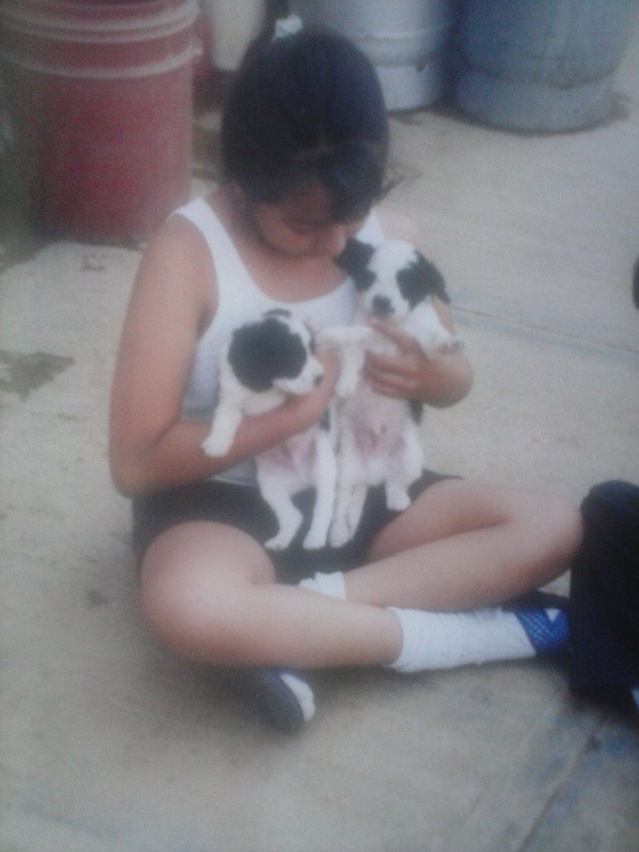 Tp_mayura's tweet photo. Cuando tu bebe de cuatro patas hace 2 años, y aun no lo pues creer el tiempo que paso y el tiempo tan corto que estuvo contigo #mipecas <3 https://t.co/Hfc0VdYqrl