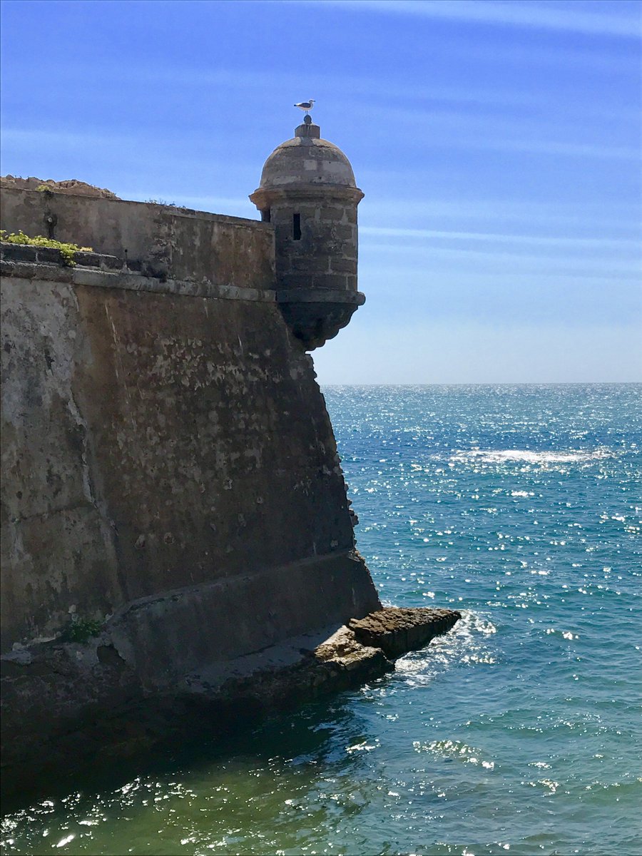 chefdelmar's tweet photo. Buenos días !!
Ya estamos cocinando el final de la temporada  2017 .
Otoño en la mar !!
Una temporada con mucha luz .. una tripulación 🔝 https://t.co/vuaiVHtCTE