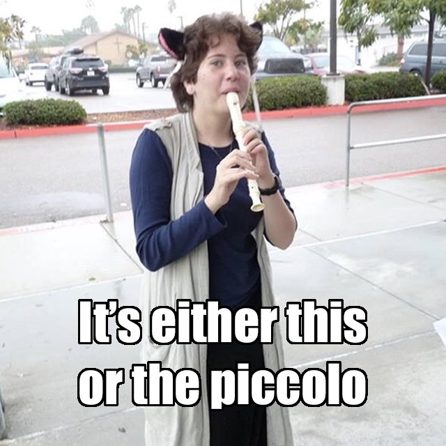 TheLAFers's tweet photo. Piccolos spend half of their time tuning and the other half playing out of tune.
#piccolo #flute #bandnerd https://t.co/RiuOlrFdLd