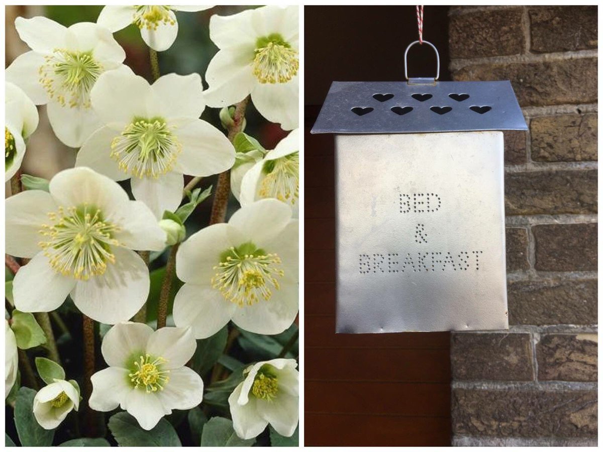 Weekendje weg? Het gaat dit weekend heerlijk nazomers weer worden. B&amp;B De Limburgse Bergen. bit.ly/2hh5Hbz