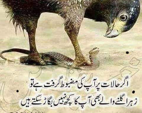 RamzanAslam14's tweet photo. https://t.co/F4gapmLttu