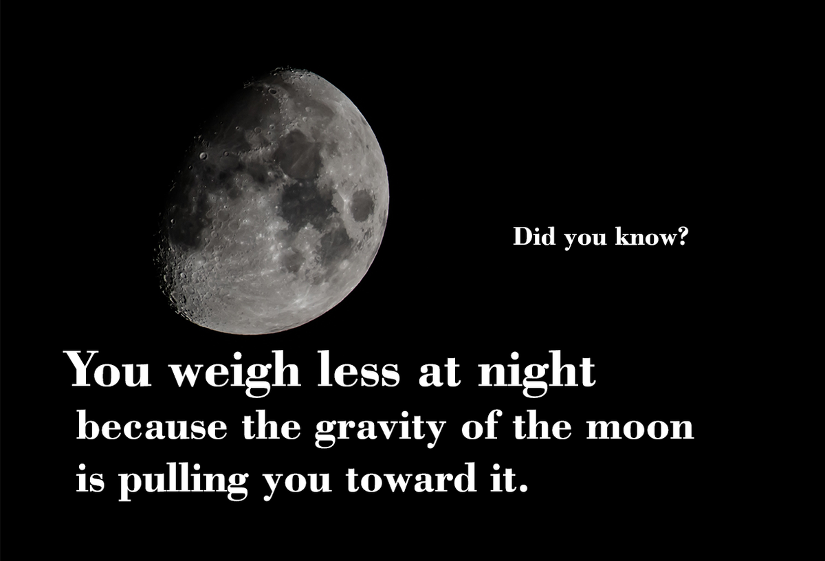 _Reality_Facts_'s tweet photo. You weigh less at night because the gravity of the moon is pulling you toward it.
#DidYouKnow #RealityFacts #fact #sleep #moon #weight https://t.co/kynwIG0DDc