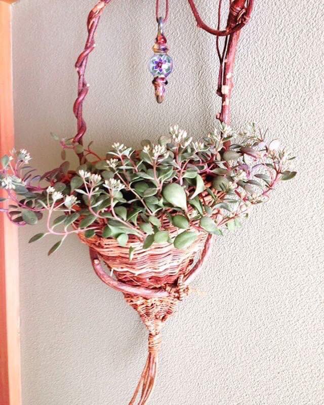 ArtCraftMarket1's tweet photo. ★☆Art Craft Market ★☆
☀︎９／２３(土)・２４(日)
・11:00〜17:00・10:30〜16:30
埼玉県本庄市銀座1-5-16
本庄レンガ倉庫.複数駐車場有り🚘
#artcraftmarket本庄 #ノヅル #カップ #作家 #キャンドル #花屋 #器 https://t.co/MZ53f5o9Y4