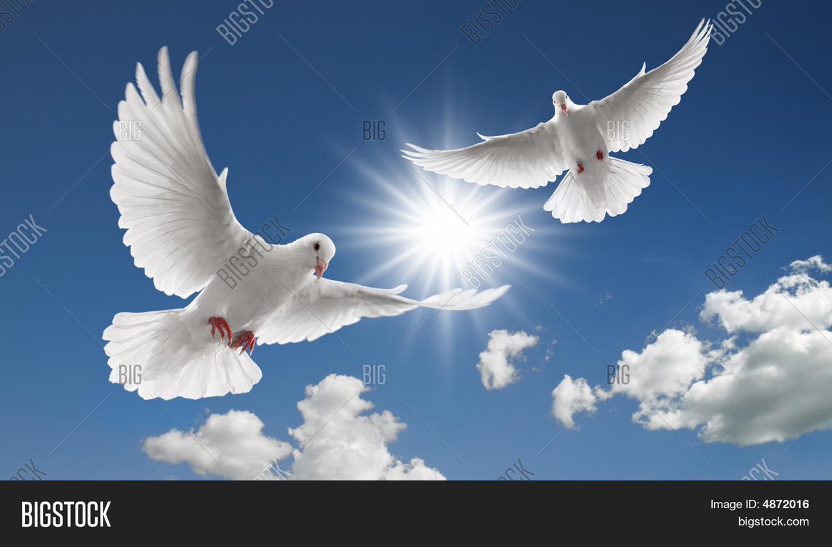 YouthViolenceUK's tweet photo. Wherever there is conflict in the world balance comes in the form of peacemakers. Seeking peaceful solutions! #InternationalPeaceDay https://t.co/AIsMusp2TY